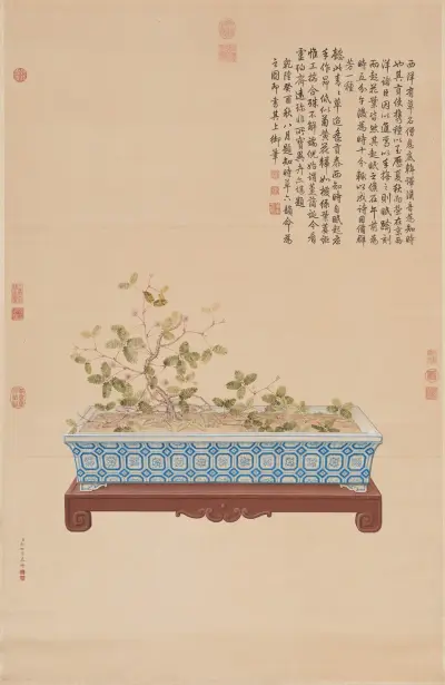 Time-Telling Plant from the West av Giuseppe Castiglione