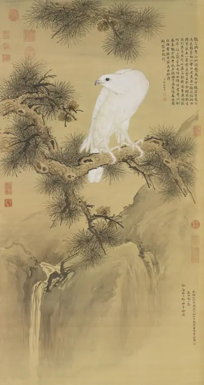 White Bird of Prey av Giuseppe Castiglione