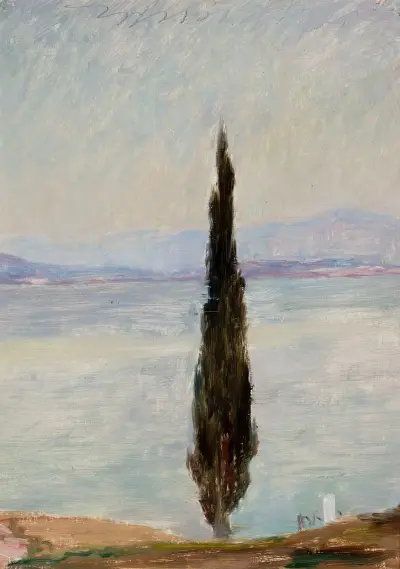 Cypress. Från resan till Konstantinopel av Jan Ciągliński