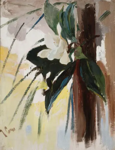 Magnolior av Jan Ciągliński