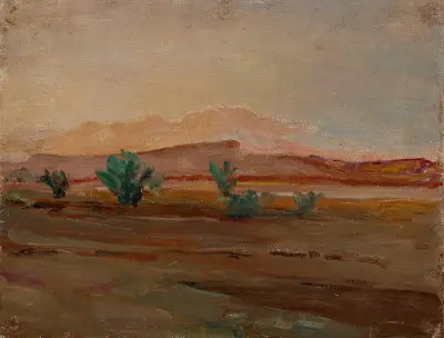 Sahara (Öken efter regn) av Jan Ciągliński