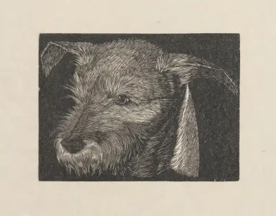 Head of ‘Beauty’ the dog, Wiktoria Goryńska