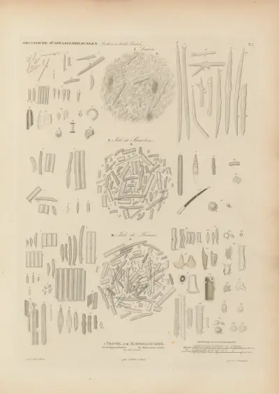 Mikrogeologie Pl.01, Christian Gottfried Ehrenberg
