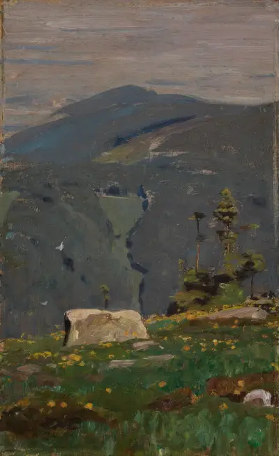 Blick von der Hornisgrinde av Gustav Kampmann