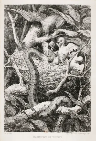 Ormen som hittar bo av Gustave Doré