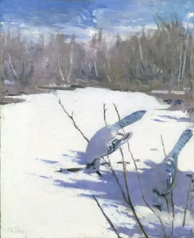 Sójki zimą, studium do książki Concealing Coloration in the Animal Kingdom, Abbott Handerson Thayer