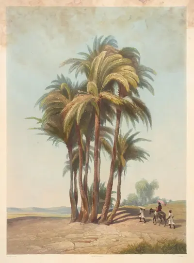 Bouquet de palmiers (Cluster of palm trees) av Hector Horeau