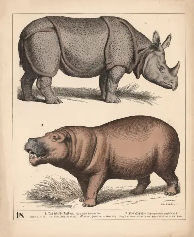 1. Das indische Nashorn. 2. Das Flusspferd, 1882 – nr 1 av Heinrich Leutemann