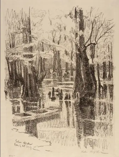 Cypress Swamp av Helen Hyde
