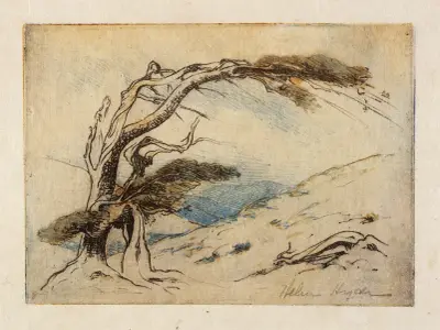 Přežití nejschopnějších, Helen Hyde
