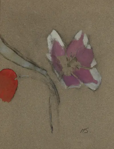 Anemona, Helene Schjerfbeck