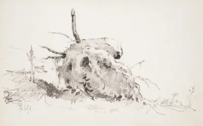 Kořeny stromu, Helene Schjerfbeck