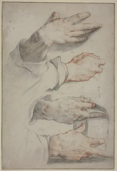 Four studies of a right hand av Hendrick Goltzius
