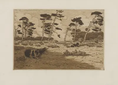 Hedland kantat av tallar av Henri Rivière