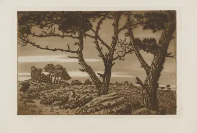 Gamla träd på heden under mulen himmel av Henri Rivière