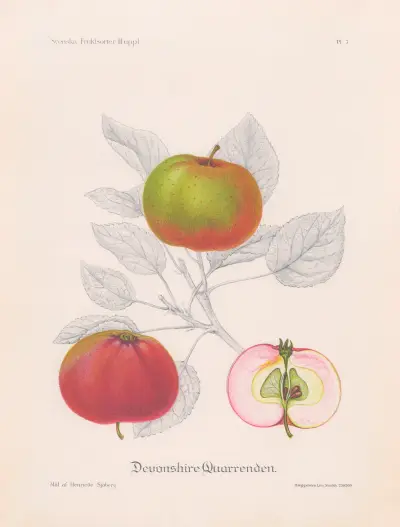 Devonshire Quarrenden av Henriette Sjöberg
