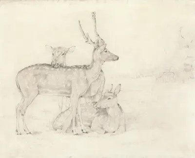 A Herd of Deer Grazing in a Park av Sir Edwin Henry Landseer