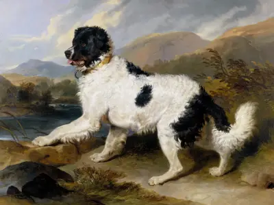 Lejon; en newfoundlandshund av Sir Edwin Henry Landseer