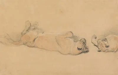 Lions at Play av Sir Edwin Henry Landseer