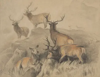 Några av skogens bästa hjortar av Sir Edwin Henry Landseer