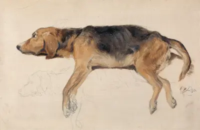 Studie av en liggande hund av Sir Edwin Henry Landseer
