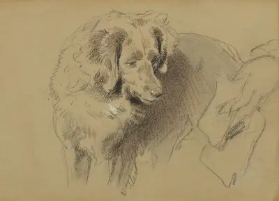 Studie av en hund av Sir Edwin Henry Landseer