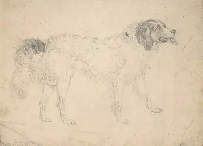 Studie av vallhund mot höger av Sir Edwin Henry Landseer
