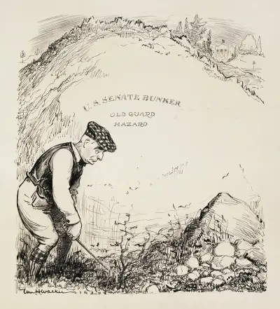 A bad lie av William Henry Walker