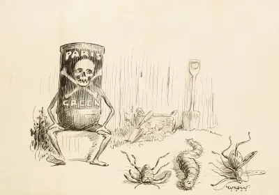 Sąd Parysa – zielony, William Henry Walker