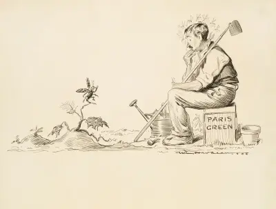 Zwycięzcy przypadają łupy, William Henry Walker