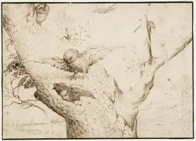 Gniazdo sowy, Hieronymus Bosch