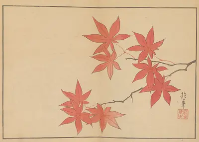 Sakai Hōitsu gajō, Pl.05 av Sakai Hōitsu