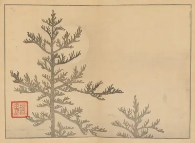 Sakai Hōitsu gajō, Pl.16 av Sakai Hōitsu