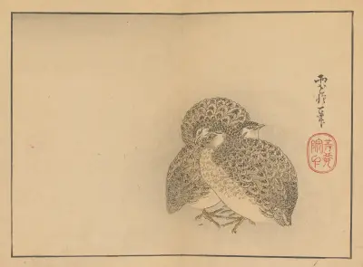 Sakai Hōitsu gajō, Pl.20 av Sakai Hōitsu