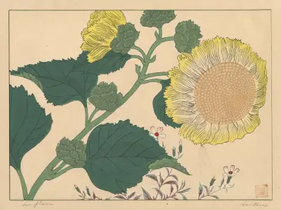 Slunečnice, Sakai Hōitsu