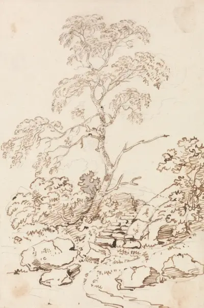 Tree by Steps av George Howland Beaumont