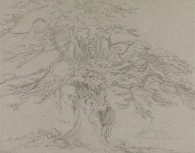 Tree Study av George Howland Beaumont