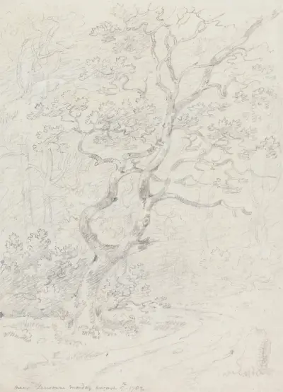 Trees, Near Lausanne av George Howland Beaumont