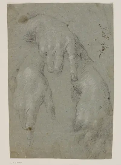 Tre studier af en højre hånd von Jacopo Palma il Giovane