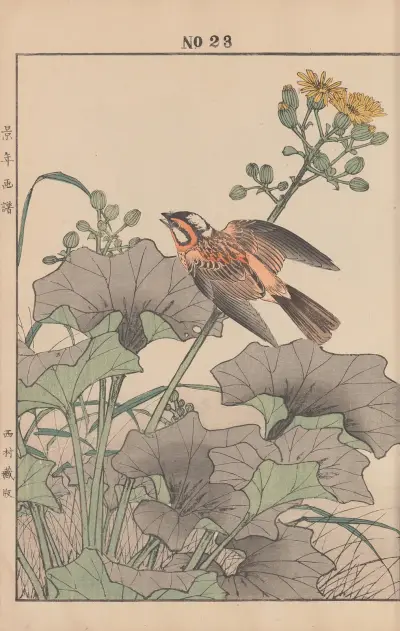 Keinen kachō gafu Pl.147 av Imao Keinen