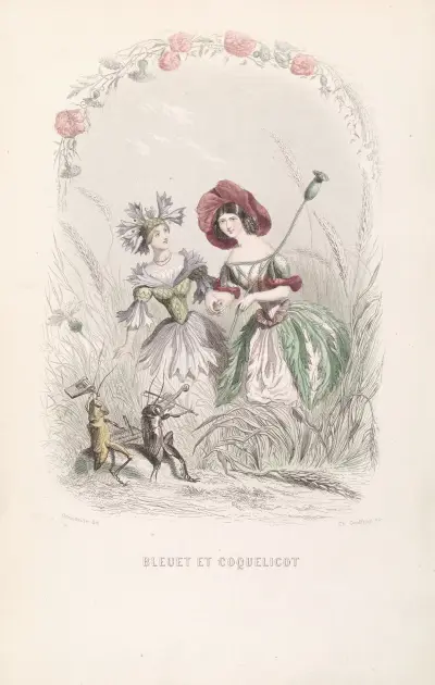 Bleuet et Coquelicot av J. J. Grandville