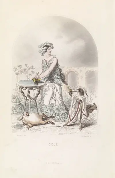 Ciguë av J. J. Grandville