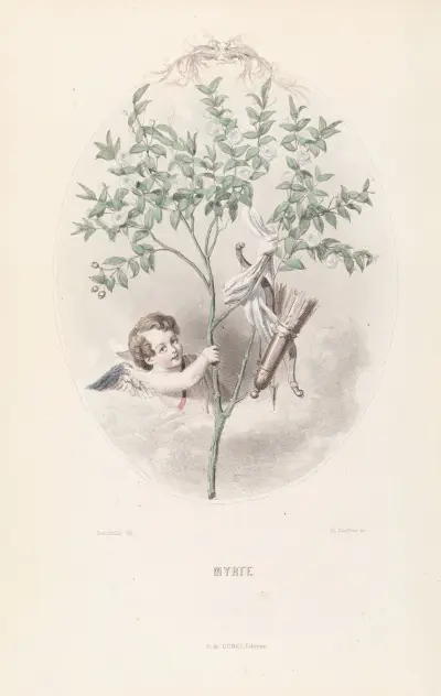 Myrte av J. J. Grandville