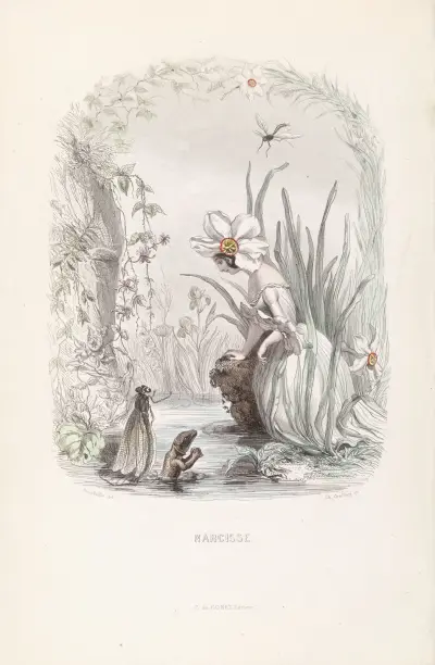 Narcisse av J. J. Grandville