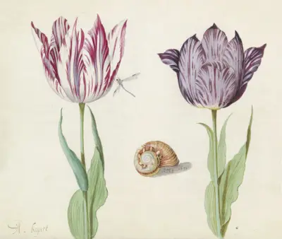 Twee tulpen met slakkenhuis en waterjuffer A. bogart La Morta von Jacob Marrel