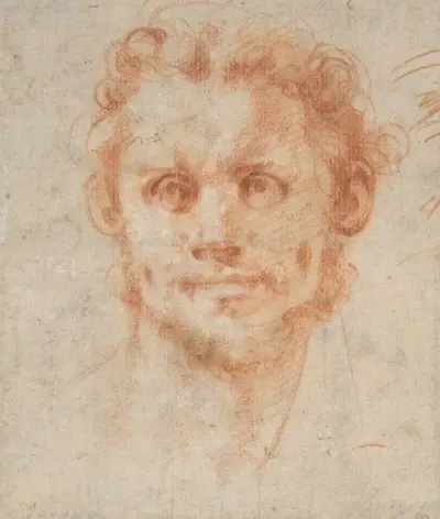 Study of a Man’s Head av Pontormo (Jacopo Carucci)