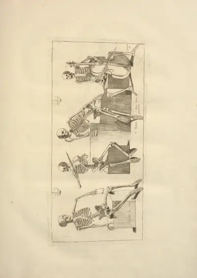 Nouveau recueil d’ostéologie et de myologie; dessiné d’après nature Pl.09 av Jacques Gamelin