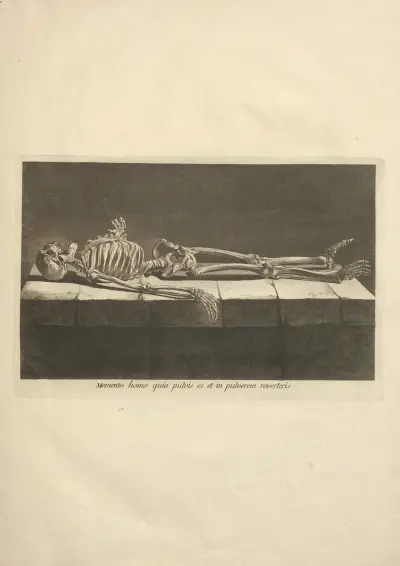 Nouveau recueil d’ostéologie et de myologie; dessiné d’après nature Pl.06 av Jacques Gamelin