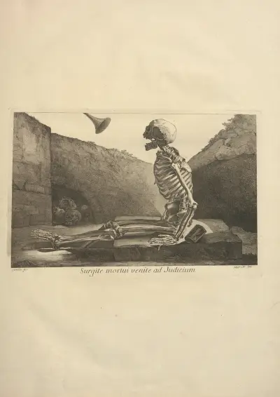 Nouveau recueil d’ostéologie et de myologie; dessiné d’après nature Pl.05 av Jacques Gamelin