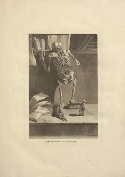 Nouveau recueil d’ostéologie et de myologie; dessiné d’après nature Pl.04 av Jacques Gamelin